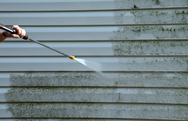 Roof Power Washing Services in Clifton, TN